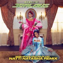 Bebe Rexha: Baby, I'm Jealous (feat. Doja Cat) (Natti Natasha Remix)