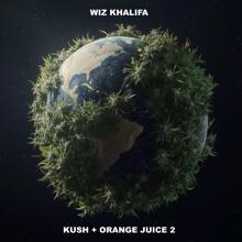 Wiz Khalifa: Hide It (feat. Don Toliver)