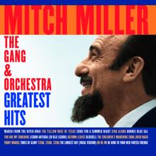 Mitch Miller & His Orchestra: Song for a Summer Night