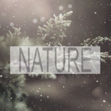 Nature Sounds: Nature
