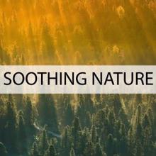 Nature Sounds: Soothing Nature