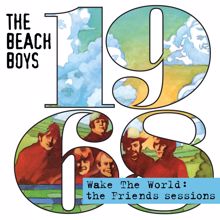 The Beach Boys: My Little Red Book