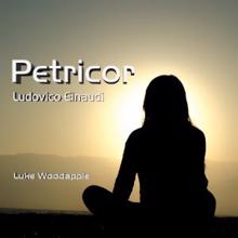Luke Woodapple: Petricor (Piano solo)