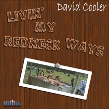 David Cooler: Like A Bird