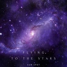 Sun Spot: Flying to the Stars (Original Mix)