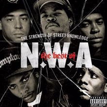 N.W.A.: The Best Of N.W.A: The Strength Of Street Knowledge