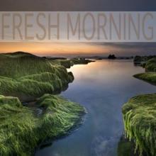 Ocean Sounds: Fresh Morning