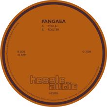 Pangaea: Router