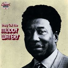 Muddy Waters: Kinfolk's Blues