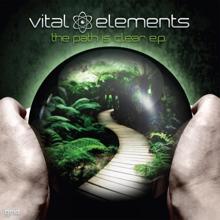 Vital Elements: Vital Elements In The Mix (Continuous 19 Track Dj Mix)