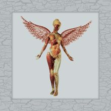 Nirvana: In Utero (30th Anniversary Super Deluxe) (In Utero30th Anniversary Super Deluxe)