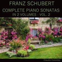 Claudio Colombo: Sonata in A Major, Op. 120, D. 664: II. Andante