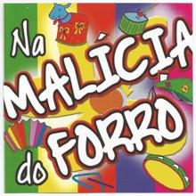 Varios Artistas: Na Malícia do Forró