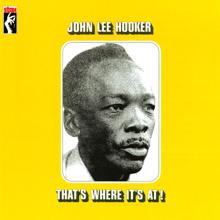 John Lee Hooker: My Love Comes Down For You