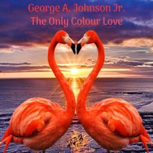 George A. Johnson Jr.: The Only Colour Love