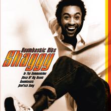 Shaggy: Boombastic Hits