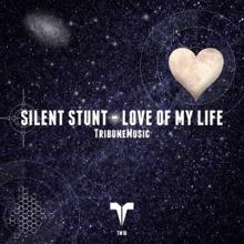 Silent Stunt: Love of My Life