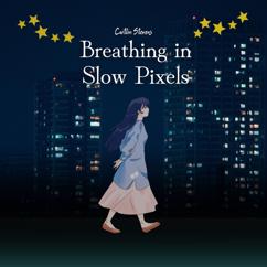 Caitlin Stevens: Breathing in Slow Pixels
