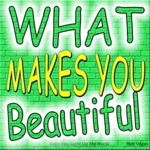 Rob Vegas: What Makes You Beautiful