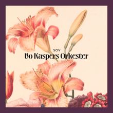 Bo Kaspers Orkester: Sov
