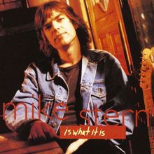 Mike Stern: Wherever You Are