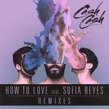 Cash Cash, Sofia Reyes: How to Love (feat. Sofia Reyes) (Fawks Flip)