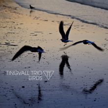 Tingvall Trio: The Return
