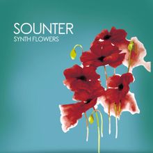 Sounter: Red Wasty