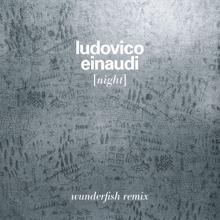 Ludovico Einaudi: Night (Wunderfish Remix)