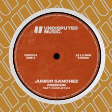 Junior Sanchez: Freedom (feat. Charlie Vox)