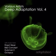 Various Artists: Deep Adaptation, Vol. 4