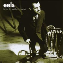 Eels: Trouble With Dreams