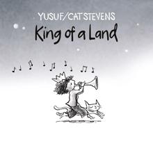 Yusuf / Cat Stevens: King of a Land