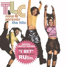 TLC: Ain't 2 Proud 2 Beg (U.S. 7" Edit)