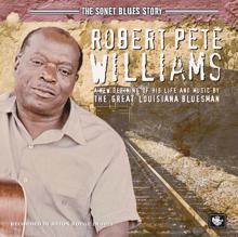 Robert Pete Williams: You're My All Day Steady And My Midnight Dream