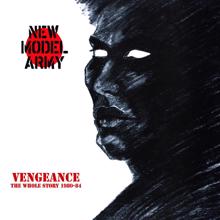 New Model Army: Vengeance - The Whole Story 1980-84