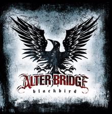 Alter Bridge: Rise Today