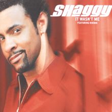 Shaggy: It Wasn't Me