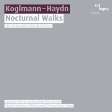 exxj ensemble xx. jahrhundert & Peter Burwik: Franz Koglmannn, Nocturnal Walks: No. 8