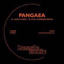 Pangaea: Fuzzy Logic / Still Flowing Water