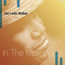 Joe Louis Walker: In The Morning