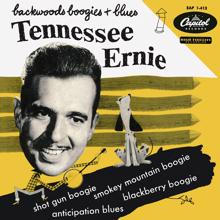 Tennessee Ernie Ford: Backwoods Boogies And Blues