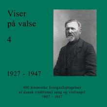 Various Artists: Viser på valse 4