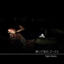 Tujiko Noriko: Land Next to Me