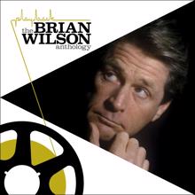 Brian Wilson: Run James Run
