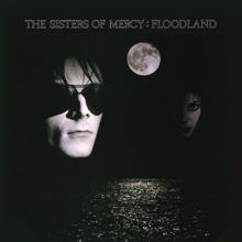 The Sisters Of Mercy: Colours (New Version for Digital)