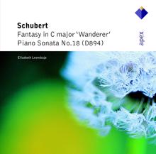 Elisabeth Leonskaja: Schubert: Piano Sonata in G Major, Op. 78, D. 894: III. Menuetto. Allegro moderato - Trio