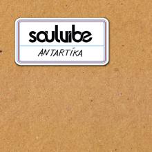 Soulvibe: Antartika