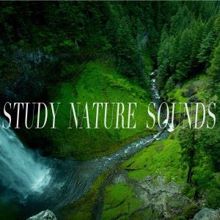Nature Sounds: Study Nature Sounds