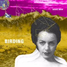 Addie Brik: Birding